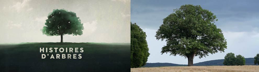 Série documentaire 10 x 52 minutes