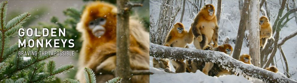 Etalonnage 4K HDR et SDR