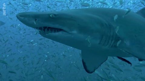 Thumbnail image for {{ post.title }}