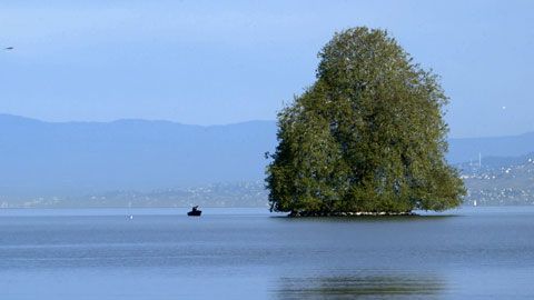 Thumbnail image for {{ post.title }}