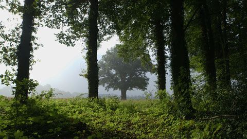 Thumbnail image for {{ post.title }}