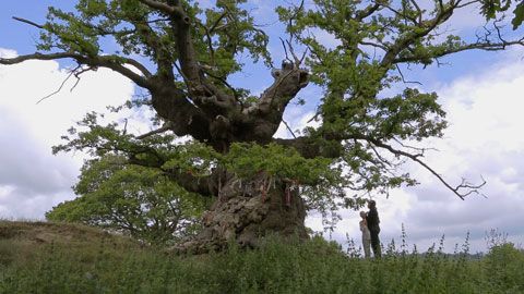 Thumbnail image for {{ post.title }}