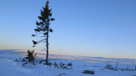 Thumbnail image for {{ post.title }}