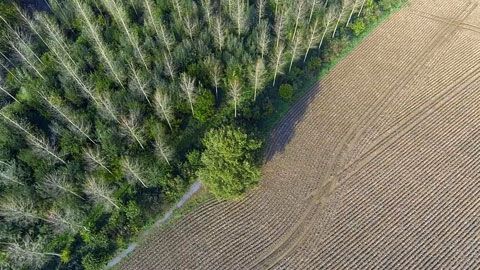 Thumbnail image for {{ post.title }}