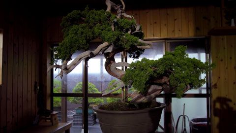 Thumbnail image for {{ post.title }}