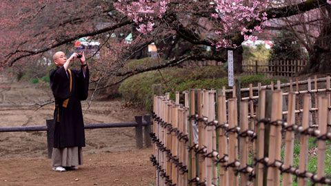 Thumbnail image for {{ post.title }}