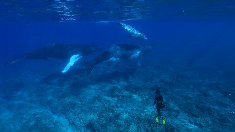 Thumbnail image for {{ post.title }}