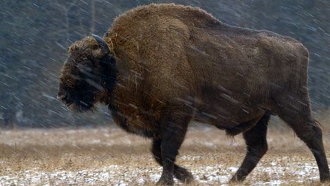 Thumbnail image for {{ post.title }}