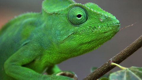 Thumbnail image for {{ post.title }}