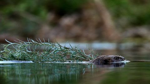 Thumbnail image for {{ post.title }}