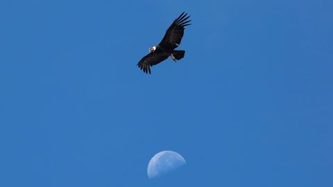 Thumbnail image for {{ post.title }}