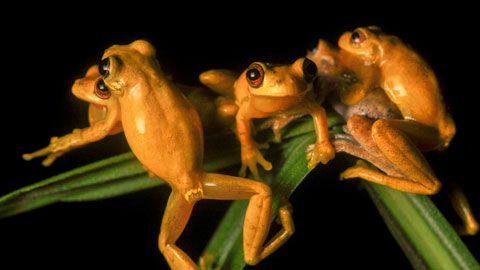 Thumbnail image for {{ post.title }}