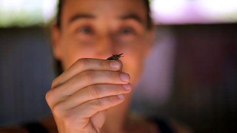 Thumbnail image for {{ post.title }}