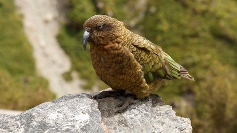 Thumbnail image for {{ post.title }}