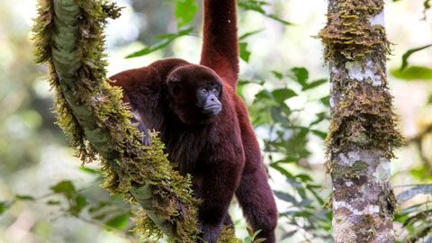 Thumbnail image for {{ post.title }}