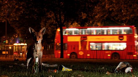 Thumbnail image for {{ post.title }}