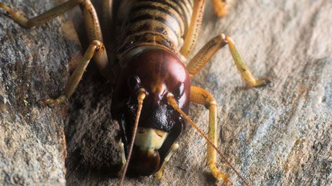 Thumbnail image for {{ post.title }}