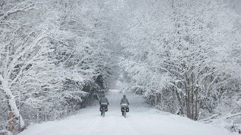 Thumbnail image for {{ post.title }}