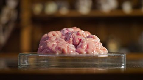 Thumbnail image for {{ post.title }}