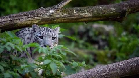 Thumbnail image for {{ post.title }}