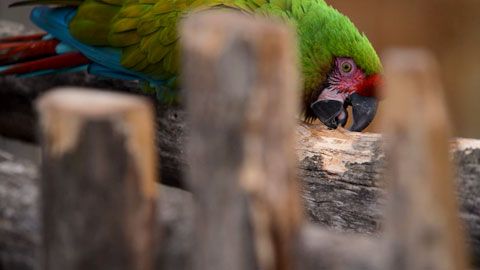 Thumbnail image for {{ post.title }}