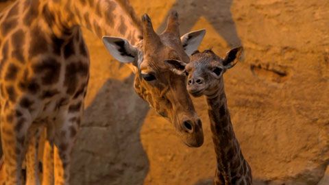 Thumbnail image for {{ post.title }}