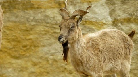 Thumbnail image for {{ post.title }}