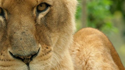 Thumbnail image for {{ post.title }}