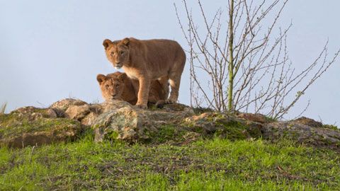 Thumbnail image for {{ post.title }}