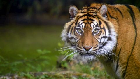 Thumbnail image for {{ post.title }}