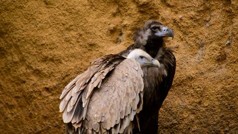 Thumbnail image for {{ post.title }}