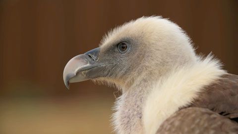 Thumbnail image for {{ post.title }}