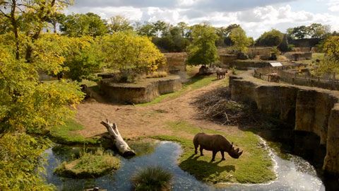 Thumbnail image for {{ post.title }}