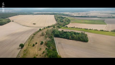 Thumbnail image for {{ post.title }}