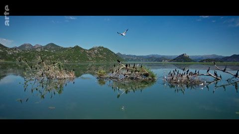 Thumbnail image for {{ post.title }}