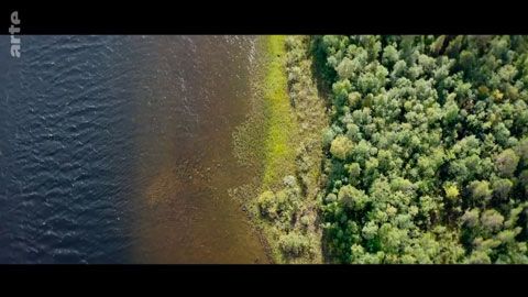 Thumbnail image for {{ post.title }}