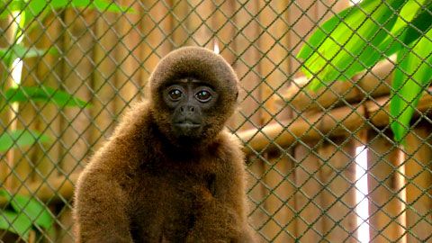 Thumbnail image for {{ post.title }}