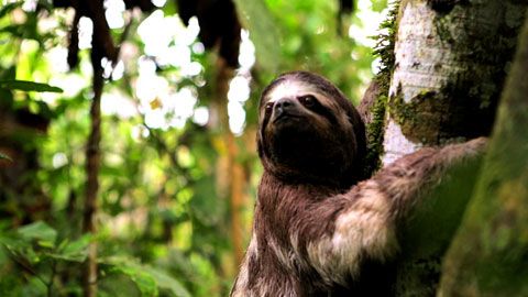 Thumbnail image for {{ post.title }}