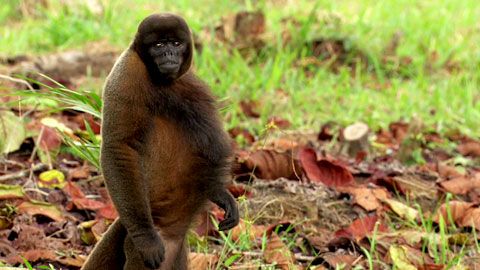 Thumbnail image for {{ post.title }}