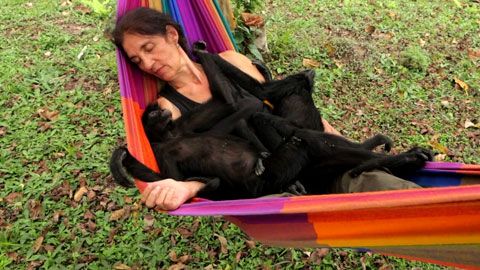 Thumbnail image for {{ post.title }}