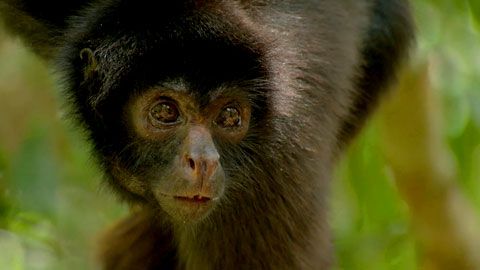 Thumbnail image for {{ post.title }}