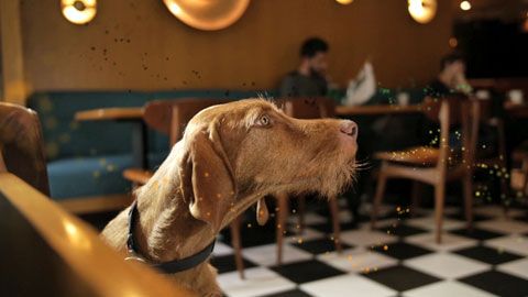 Thumbnail image for {{ post.title }}