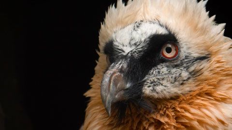 Thumbnail image for {{ post.title }}