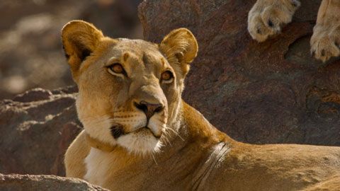 Thumbnail image for {{ post.title }}