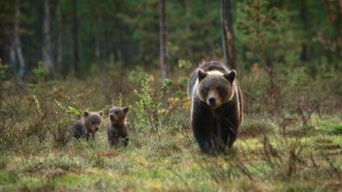 Thumbnail image for {{ post.title }}