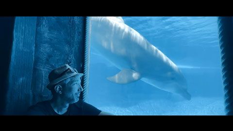 Thumbnail image for {{ post.title }}