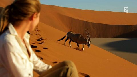 Thumbnail image for {{ post.title }}