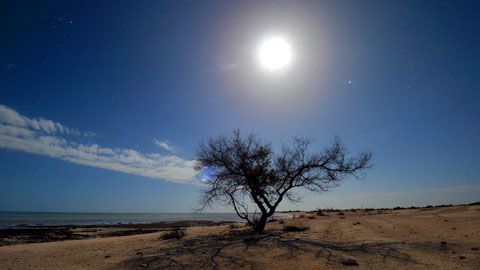 Thumbnail image for {{ post.title }}