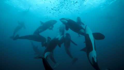 Thumbnail image for {{ post.title }}