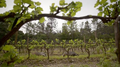 Thumbnail image for {{ post.title }}